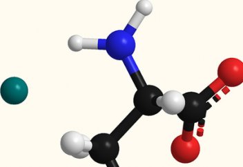 Найден способ избавиться от негативного влияния глутамата натрия