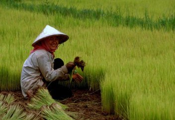 7 приоритетов китайской экономики в 2019 году