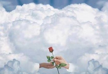 Поглощенная потерей, я не замечала ничего вокруг...