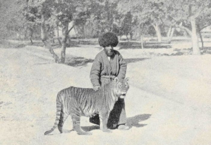 ТУРАНСКИЙ ТИГР В КАЗАХСТАНЕ: ЧТО ИЗВЕСТНО О «ЖОЛБАРЫСЕ»