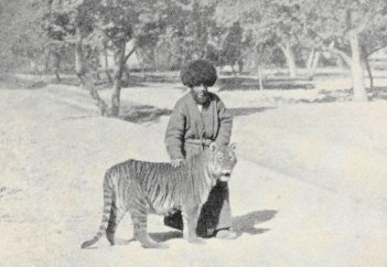 ТУРАНСКИЙ ТИГР В КАЗАХСТАНЕ: ЧТО ИЗВЕСТНО О «ЖОЛБАРЫСЕ»