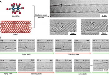 Ғалымдар тұңғыш рет атомдардың қалай қосылып, қалай ажырайтынын таспаға тартып алды (видео)