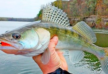 Сколько рыбы можно выловить в казахстанских водоемах с 1 июля 2021 года