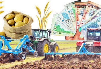 Қазақстанда өсімдік шаруашылығын субсидиялаудың жаңа ережелері қолданылады