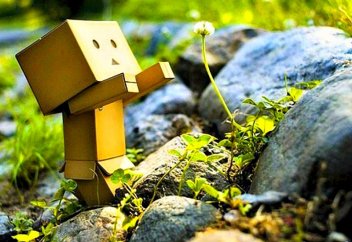 Кедейдің жомарттығын тағы бір дәлелдеген әлеуметтік эксперимент (Видео)