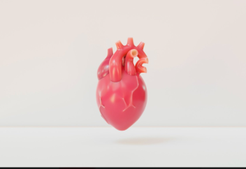 В США умер второй в мире пациент, которому пересадили сердце свиньи