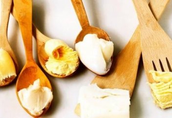 Трансмайлар туралы фактілер (инфографика)