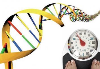 Семіруге бастайтын ген табылды