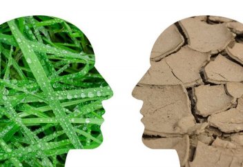 ДМҰ: жаздағы ыстық пен коронавирус - адам өміріне қауіпті