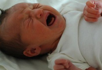 Разное: Имя Мухаммед вошло в топ-10 среди имен для новорожденных в Вене