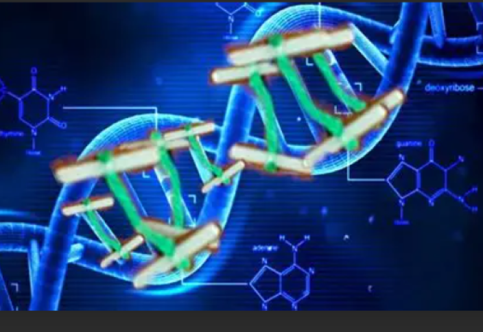 Впервые родились дети с ДНК трех людей – как британские ученые удивили мир