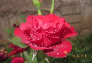 Мен ешкім емеспін