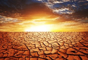 Алгоритм на основе спутниковых данных помогает избежать засуху