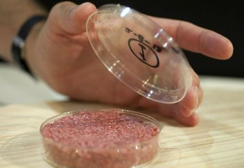 Жасанды ет өндірісінде медициналық регенеративті әдіс қолданылады