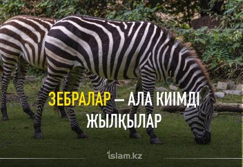 Зебралар – ала киімді жылқылар