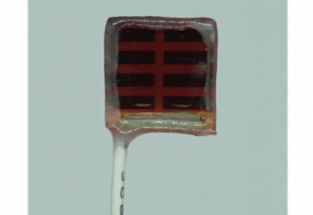 Cутегі фотосинтезінің технологиясы: жарықты отынға айналдырады