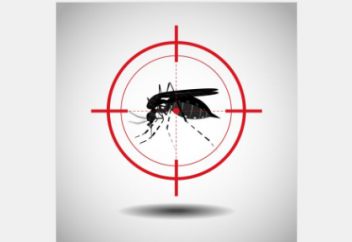 Масаны өлтіретін бактерия табылды