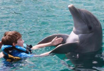 Баламалы медицина (жануармен емдеу) заңдастырылды