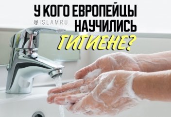 У кого европейцы научились гигиене?