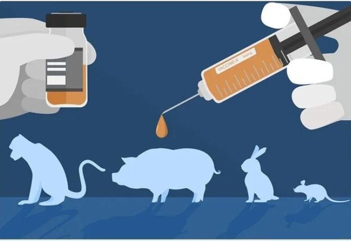 Правительство Великобритании постепенно откажется от испытаний на животных с помощью искусственного интеллекта и 3D-биопечати