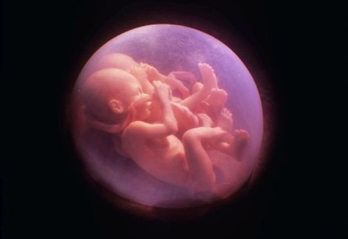 Бала жынысының кездейсоқ пайда болмайтыны анықталды