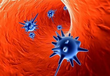 Свиные органы отторгаются у людей… ученые ищут выход