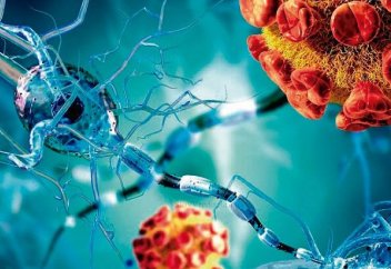 Бактерияның антибиотикке төзімділігінің тағы бір сыры ашылды