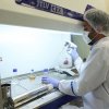 На долю биотехнологий приходится 60 % фармацевтического экспорта Ирана