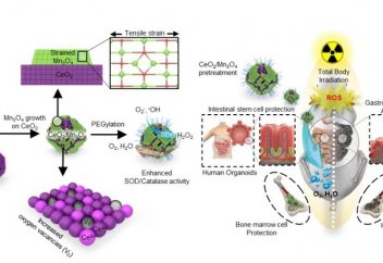 Радиациядан жасуша деңгейінде қорғайтын дәрі жасалды