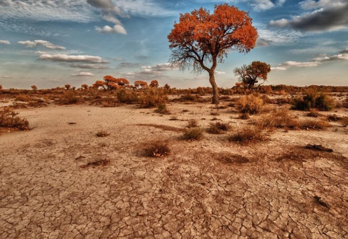 Күйеуінің досының әйелімен болған орыс секс видеосын қараңыз
