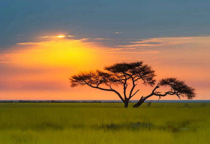 Сделка с китайским карьером напугала зимбабвийских фермеров