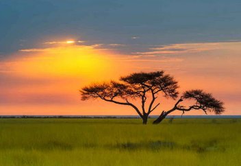 Сделка с китайским карьером напугала зимбабвийских фермеров