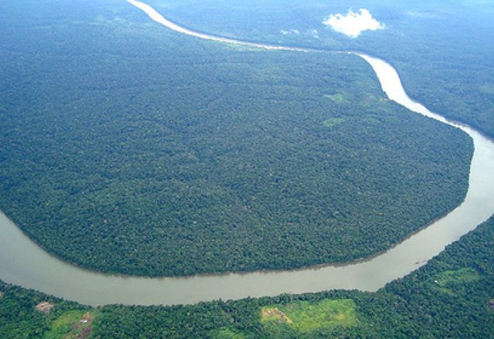 Бассейну Амазонки предрекли скорое уничтожение