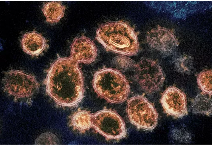 Ученые смоделировали массовое распространение вируса. Чем лечить вирус?