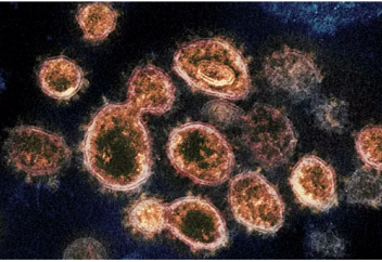 Ученые смоделировали массовое распространение вируса. Чем лечить вирус?