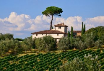 Бала санын көбейту үшін тың бастама қолға алынды