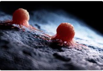 Обыр жасушасын иммундық жүйеден жасыратын фермент табылды