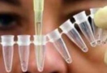 Слюна действительно помогает заживлять раны