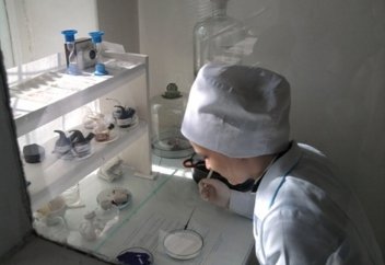 В Казахстане на дорогах республиканского значения появятся посты ветконтроля