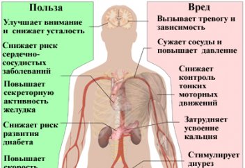 8 фактов о кофеине, которые вы могли не знать