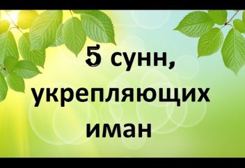 5 СУНН (желательных поступков), укрепляющих веру (иман)