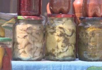 ЕЛІМІЗДЕ ЖАБАЙЫ ӨСІМДІК ТҮРЛЕРІНЕ САЛЫҚ САЛЫНАДЫ