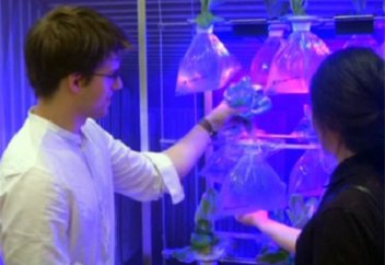 Студент придумал способ выращивания овощей на корабле (видео)