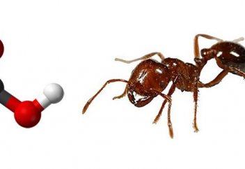 Метанның парникті газы құмырсқа қышқылына айналдырылды (құмырсқа қышқылы туралы аз-кем дерек)