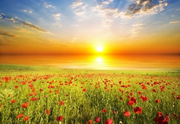 Духа-намаз и его достоинства