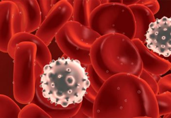 Лейкемия на последней стадии поддалась лечению