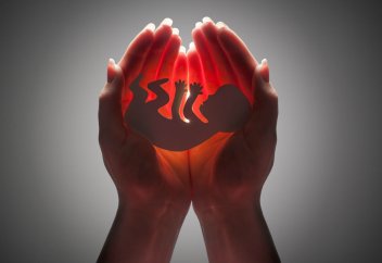 Түсік жасату заңдастырылды