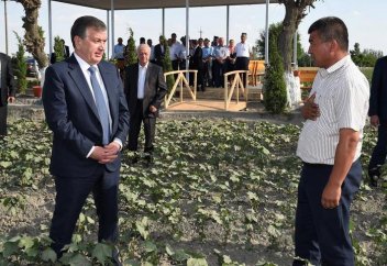 Малый бизнес в Узбекистане освобождён от налогов на пять лет