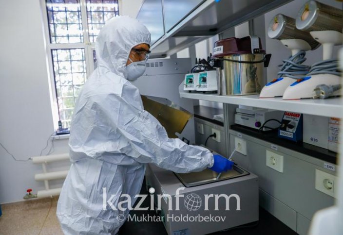 Казахстанские ученые разработали препарат для обеззараживания сибироязвенных захоронений