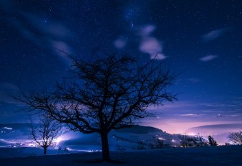 Түнгі жарықтың қоршаған ортаға тигізер алапат әсері